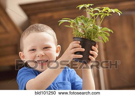Caucasian boy holding potted plant View Large Photo Image Stock Image - Caucasian boy holding potted plant. Fotosearch