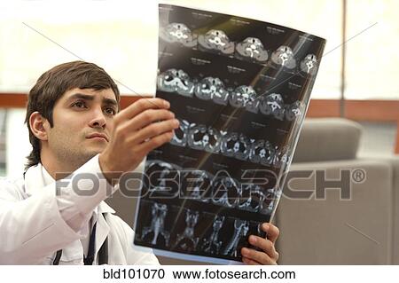 Stock Image - Hispanic doctor examining CAT scan. Fotosearch