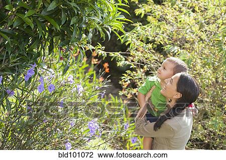 Stock Image - Hispanic mother and son looking at plants. Fotosearch