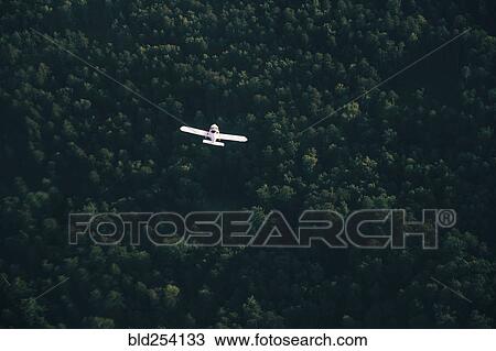 Aerial view of airplane flying over trees View Large Photo Image Stock Image - Aerial view of airplane flying over trees. Fotosearch