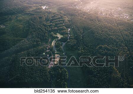 Aerial view of river and trees View Large Photo Image Stock Photography - Aerial view of river and trees. Fotosearch