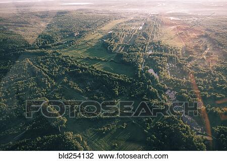 Aerial view of trees in landscape View Large Photo Image Stock Image - Aerial view of trees in landscape. Fotosearch