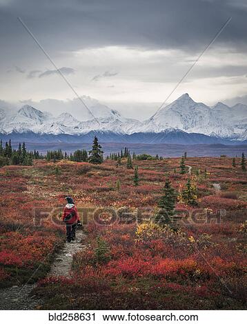 Stock Image - Asian woman hiking near mountains. Fotosearch