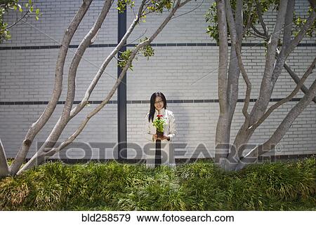 Asian woman holding flower near trees View Large Photo Image Stock Photo - Asian woman holding flower near trees. Fotosearch