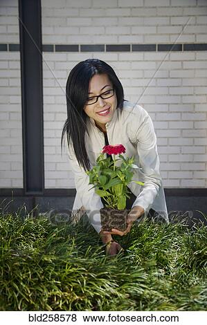 Stock Photo - Asian woman planting flower in garden. Fotosearch