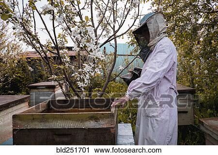 Stock Image - Beekeeper and bee hives. Fotosearch
