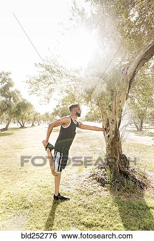 Black man leaning on tree in park stretching leg View Large Photo Image Stock Photograph - Black man leaning on tree in park stretching leg. Fotosearch