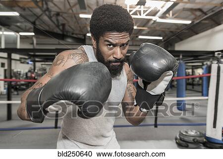 Black man posing in boxing ring View Large Photo Image Stock Image - Black man posing in boxing ring. Fotosearch