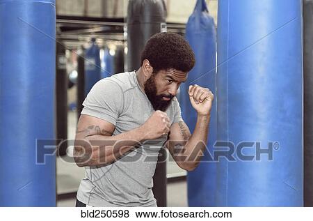 Black man using punching bag View Large Photo Image Stock Photo - Black man using punching bag. Fotosearch