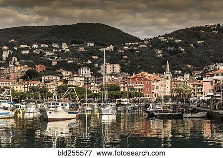 Boats at marina View Large Photo Image Stock Photo - Boats at marina. Fotosearch