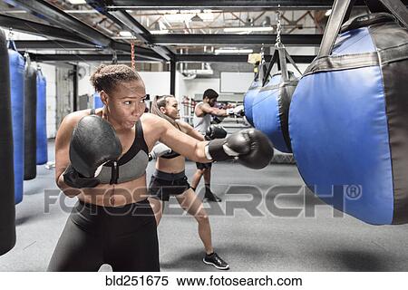 Boxers punching bags in gymnasium View Large Photo Image Stock Photography - Boxers punching bags in gymnasium. Fotosearch