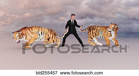 Stock Photo - Businessman holding tigers by the tails. Fotosearch