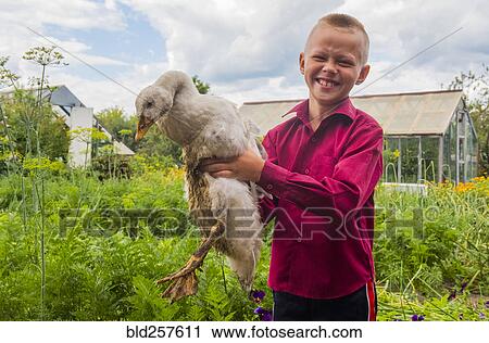 Caucasian boy holding duck on farm View Large Photo Image Stock Image - Caucasian boy holding duck on farm. Fotosearch