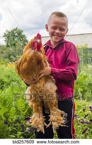 Stock Photo - Caucasian boy holding rooster on farm. Fotosearch