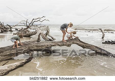 Caucasian by and girls examining driftwood on beach View Large Photo Image Stock Image - Caucasian by and girls examining driftwood on beach. Fotosearch