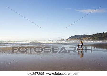Stock Photography - Caucasian family holding hands and walking on beach. Fotosearch