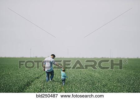 Caucasian father and son holding hands and walking in field View Large Photo Image Stock Photo - Caucasian father and son holding hands and walking in field. Fotosearch