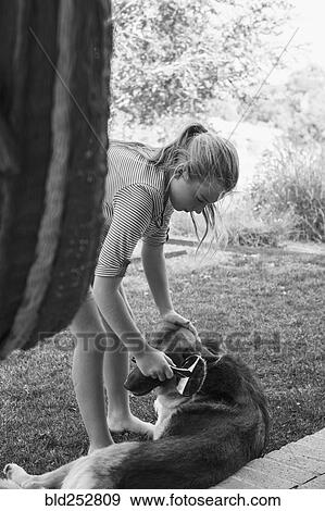 Stock Photo - Caucasian girl brushing pet dog. Fotosearch