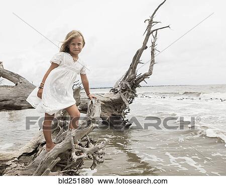 Caucasian girl posing on driftwood at beach View Large Photo Image Stock Image - Caucasian girl posing on driftwood at beach. Fotosearch