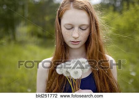 Caucasian girl with dandelion seeds hair View Large Photo Image Stock Image - Caucasian girl with dandelion seeds hair. Fotosearch