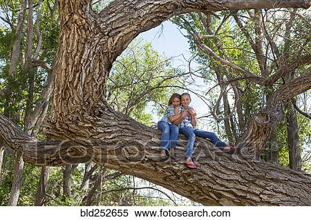 Stock Photography - Caucasian girls hugging and sitting in tree. Fotosearch