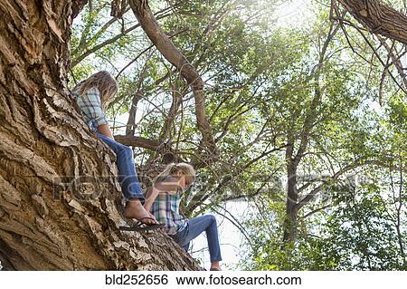 Stock Photograph - Caucasian girls sitting in tree. Fotosearch