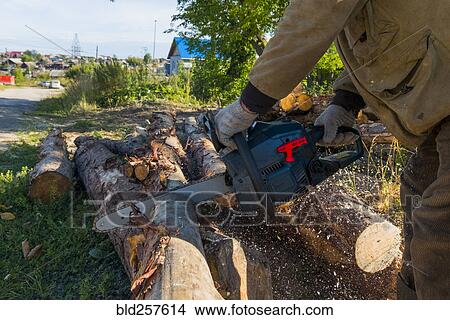 Picture - Caucasian man cutting logs with chainsaw. Fotosearch