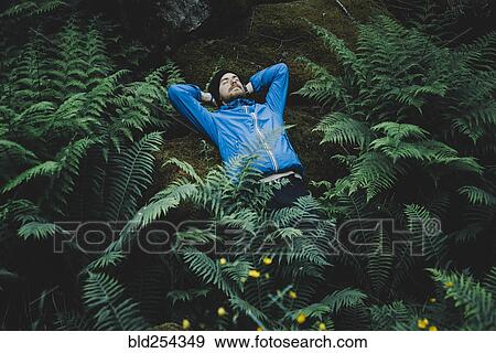 Caucasian man laying on rock in foliage View Large Photo Image Stock Photo - Caucasian man laying on rock in foliage. Fotosearch