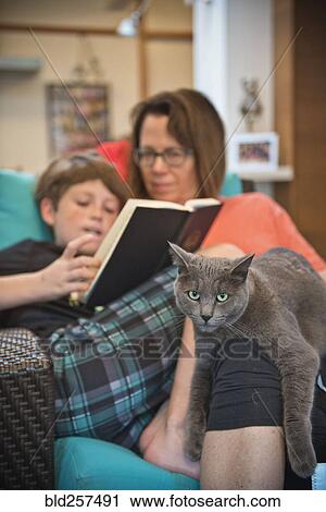 Stock Image - Caucasian mother and son reading book and relaxing with cat. Fotosearch