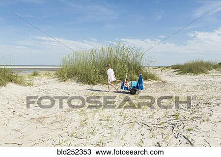 Caucasian mother pulling son in cart on the beach View Large Photo Image Stock Image - Caucasian mother pulling son in cart on the beach. Fotosearch