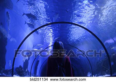Picture - Caucasian woman admiring fish in aquarium. Fotosearch