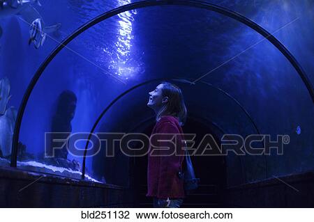Caucasian woman admiring fish in aquarium View Large Photo Image Stock Image - Caucasian woman admiring fish in aquarium. Fotosearch
