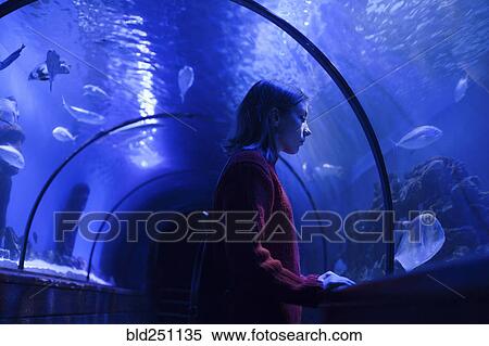 Caucasian woman admiring fish in aquarium View Large Photo Image Stock Photography - Caucasian woman admiring fish in aquarium. Fotosearch