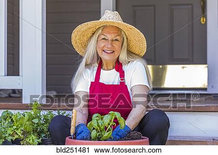 Caucasian woman planting seedling on front stoop View Large Photo Image Stock Image - Caucasian woman planting seedling on front stoop. Fotosearch