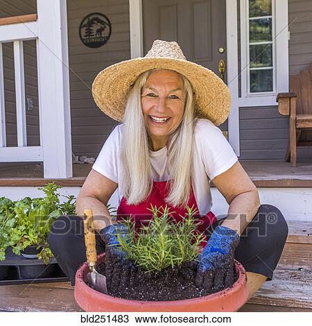 Caucasian woman planting seedling on front stoop View Large Photo Image Stock Image - Caucasian woman planting seedling on front stoop. Fotosearch