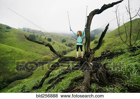 Stock Photo - Caucasian woman standing on tree celebrating with walking sticks. Fotosearch