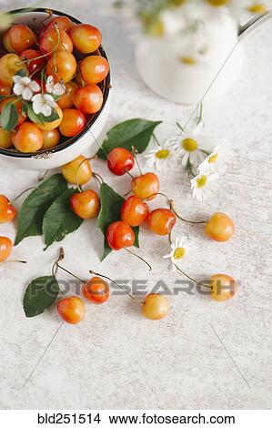 Picture - Cherries on white wooden table. Fotosearch