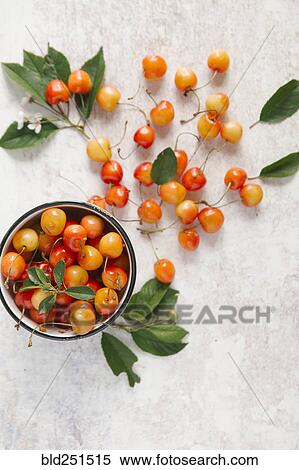 Stock Photography - Cherries on white wooden table. Fotosearch