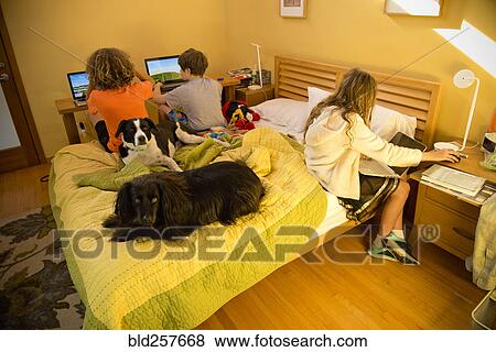 Children on bed using laptops View Large Photo Image Stock Photo - Children on bed using laptops. Fotosearch