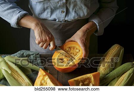 Close up of Caucasian woman cutting squash View Large Photo Image Stock Photo - Close up of Caucasian woman cutting squash. Fotosearch