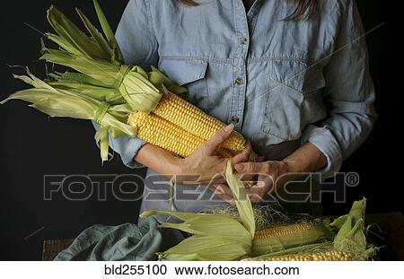 Close up of Caucasian woman holding corn View Large Photo Image Stock Image - Close up of Caucasian woman holding corn. Fotosearch