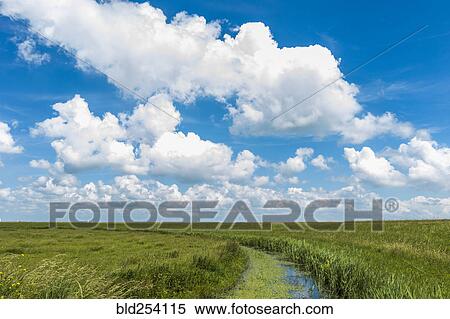 Clouds over grassy landscape View Large Photo Image Stock Photography - Clouds over grassy landscape. Fotosearch