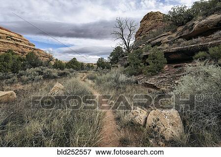 Stock Photo - "Clouds over path in desert, Moab, Utah, United States". Fotosearch