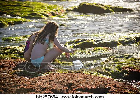 Crouching Caucasian girls exploring tide pools with net View Large Photo Image Picture - Crouching Caucasian girls exploring tide pools with net. Fotosearch
