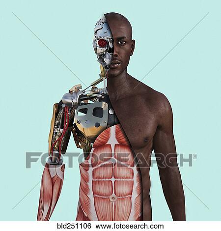 Cutaway of cyborg View Large Photo Image Stock Photograph - Cutaway of cyborg. Fotosearch
