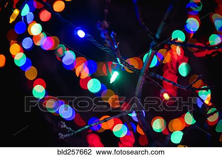 Stock Image - Defocused lights behind tree branch. Fotosearch