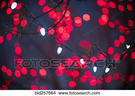 Defocused red lights behind tree branch View Large Photo Image Picture - Defocused red lights behind tree branch. Fotosearch