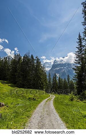 Dirt path toward mountains View Large Photo Image Stock Image - Dirt path toward mountains. Fotosearch
