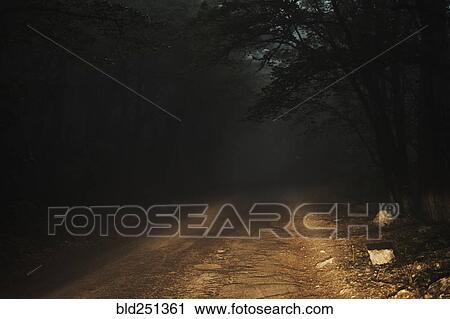 Stock Image - Dirt road in forest. Fotosearch