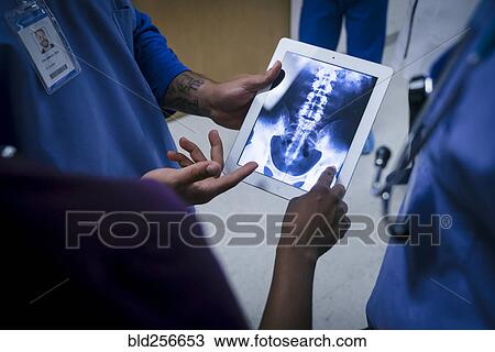 Doctors examining x-ray of pelvis and spine on digital tablet View Large Photo Image Stock Image - Doctors examining x-ray of pelvis and spine on digital tablet. Fotosearch